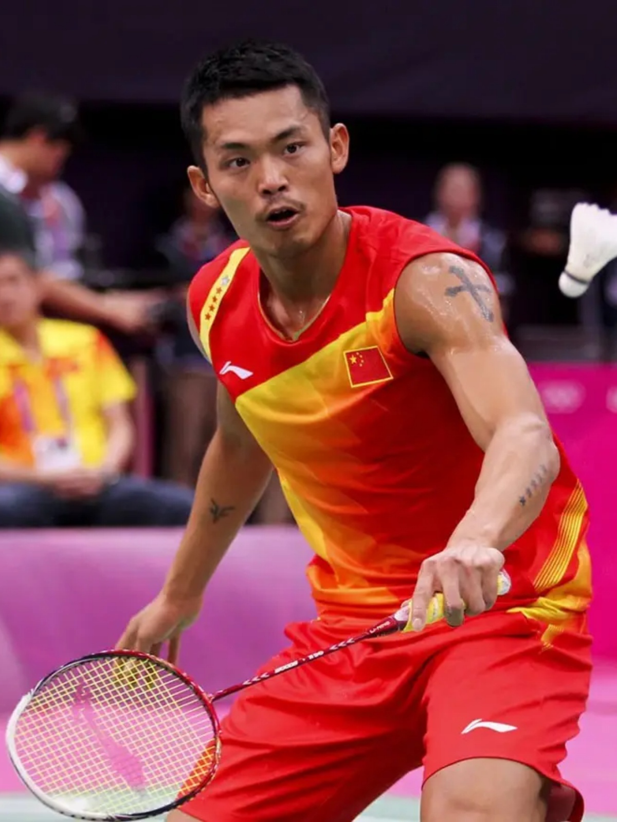 失利的主要 失利的主要