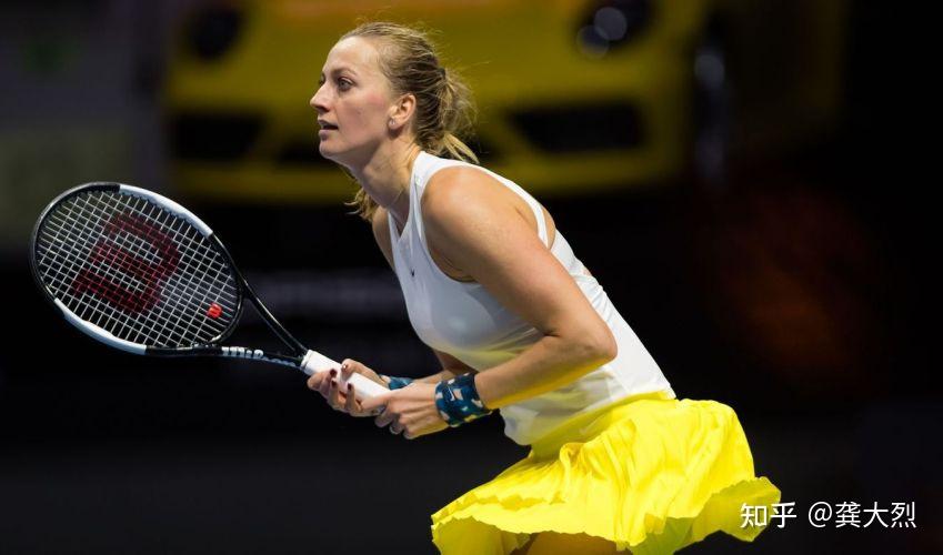 裁判的职业 裁判的职业